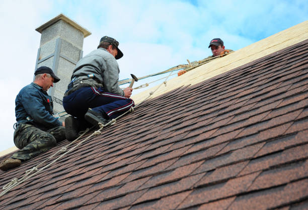 Best Residential Roofing Contractor  in Rock Falls, IL